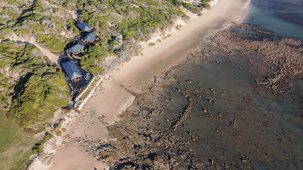 the fish traps the fish traps