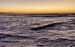 Kanon Private Nature Reserve Photography Garden Route Locations Self Catering Accommodation Garden Route