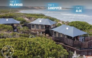 glamping western cape – khoekhoen beach lodge – tent map 1 glamping western cape - khoekhoen beach lodge - tent map 1