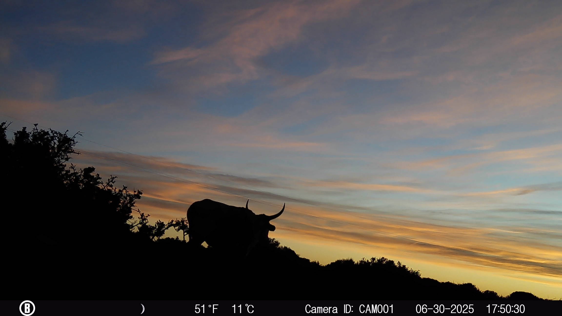 Camera traps of kanon private nature reserve 1