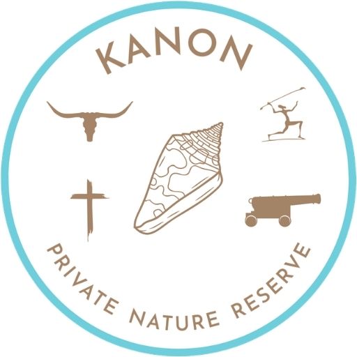 Kanon Logo