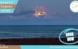 Romantic Getaway on the Garden Route -Kanon Private Nature Reserve - KPNR - Romantic Getaway 2