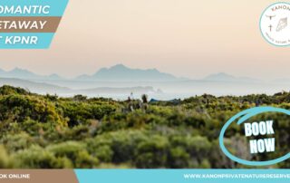 Romantic Getaway on the Garden Route -Kanon Private Nature Reserve - KPNR - Romantic Getaway