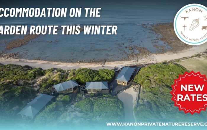 Accommodation on the Garden Route - New Rates - Kanon Private Nature Reserve - Garden Route