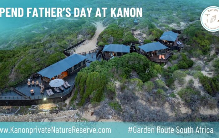 Places To Stay On The Garden Route - Kanon Private Nature Reserve