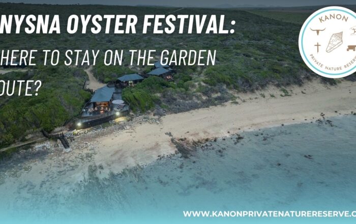 knysna oyster festival - garden route accommodation - kanon private nature reserve
