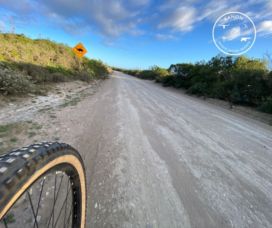 mtb trails garden route – Kanon private nature reserve 19 mtb trails garden route - Kanon private nature reserve 19