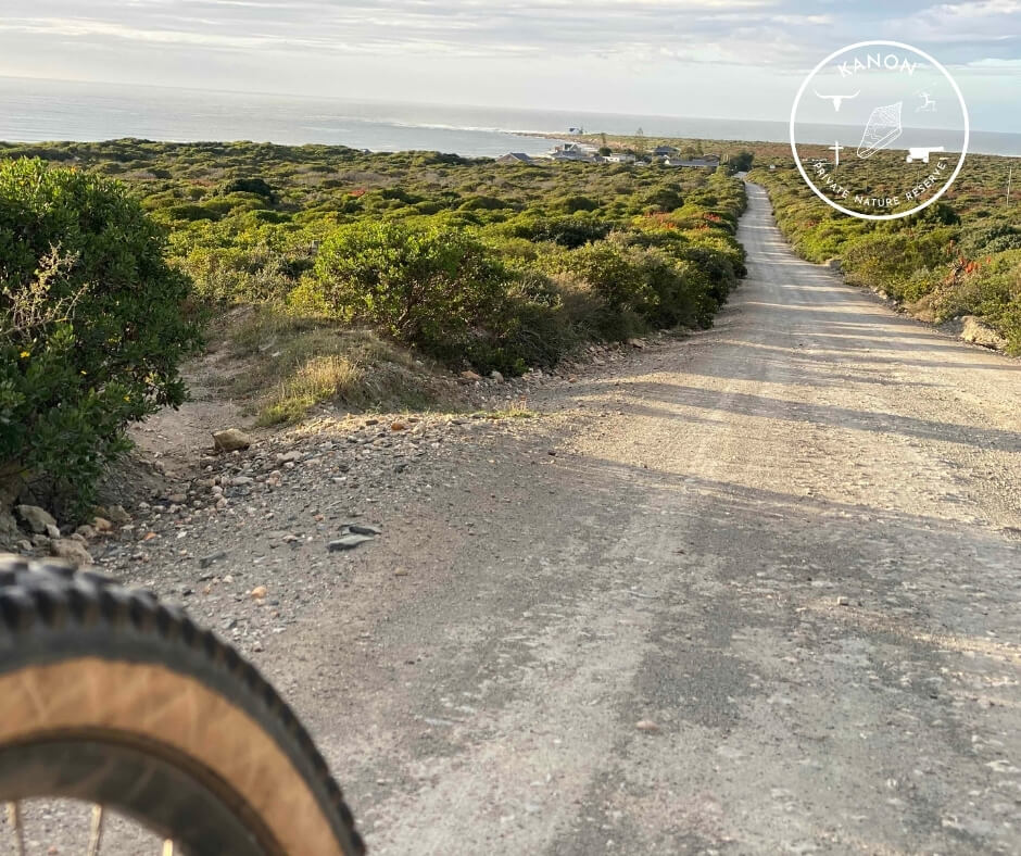 mtb trails garden route – Kanon private nature reserve 34 mtb trails garden route - Kanon private nature reserve 34