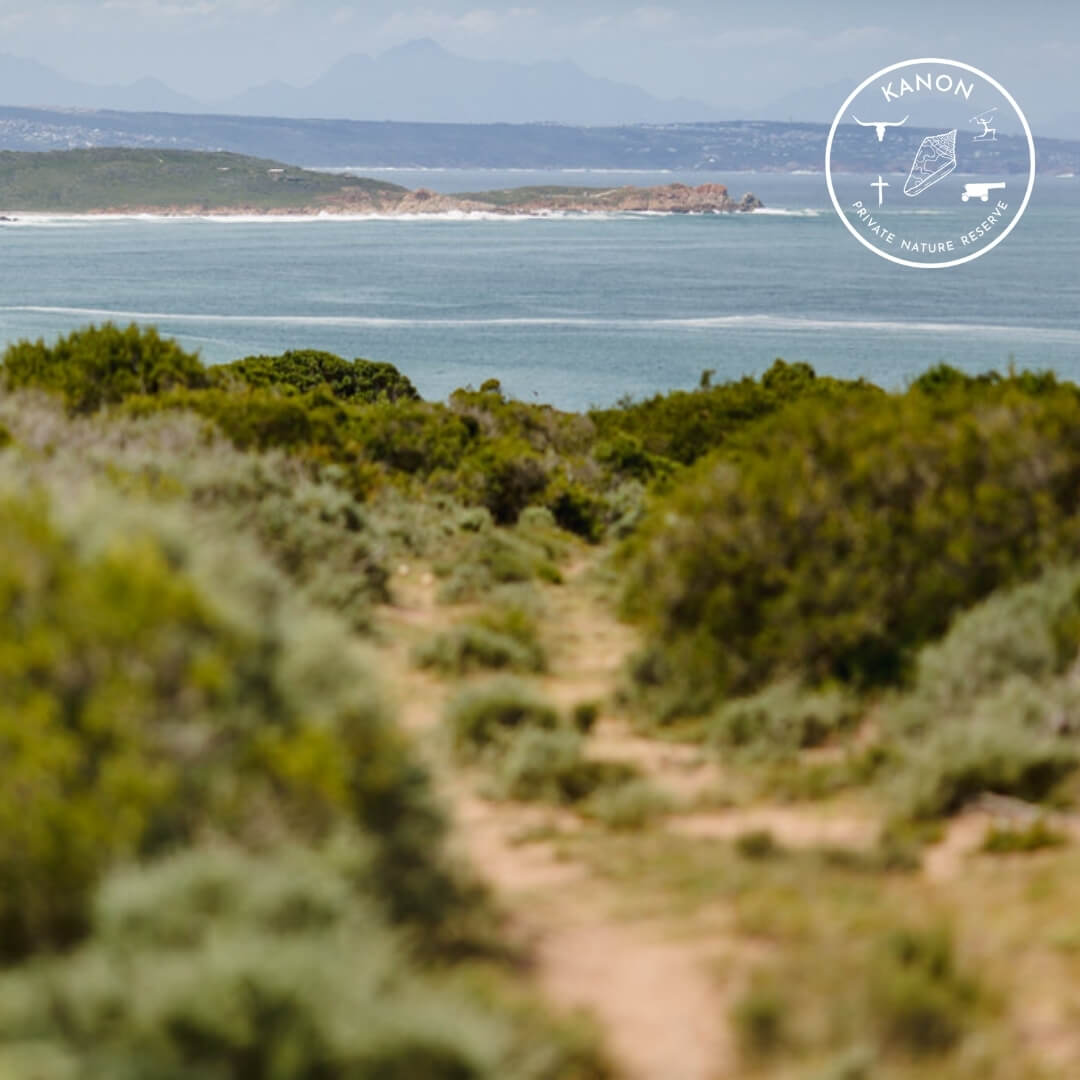 mtb trails garden route – Kanon private nature reserve 81 mtb trails garden route - Kanon private nature reserve 81