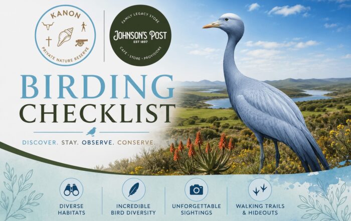 Birding at Kanon Private Nature Reserve & Johnsons Post
