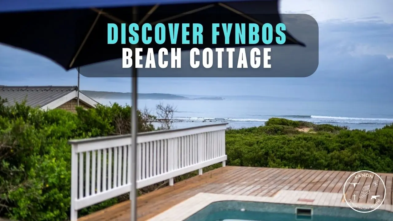 Fynbos Beach Cottage - places to stay on the garden route- kanon